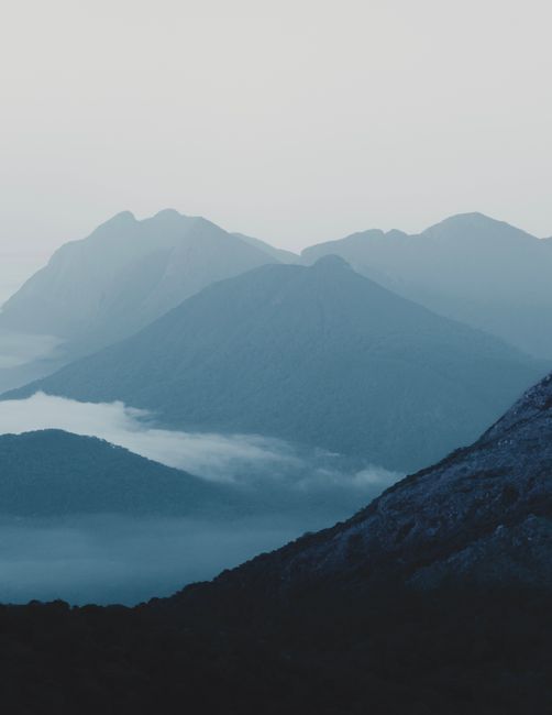 Explore the serene beauty of misty mountain ranges captured in early morning light, enveloped in tranquil fog.