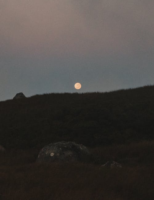 Gratis lagerfoto af bakke, lodret skud, måne