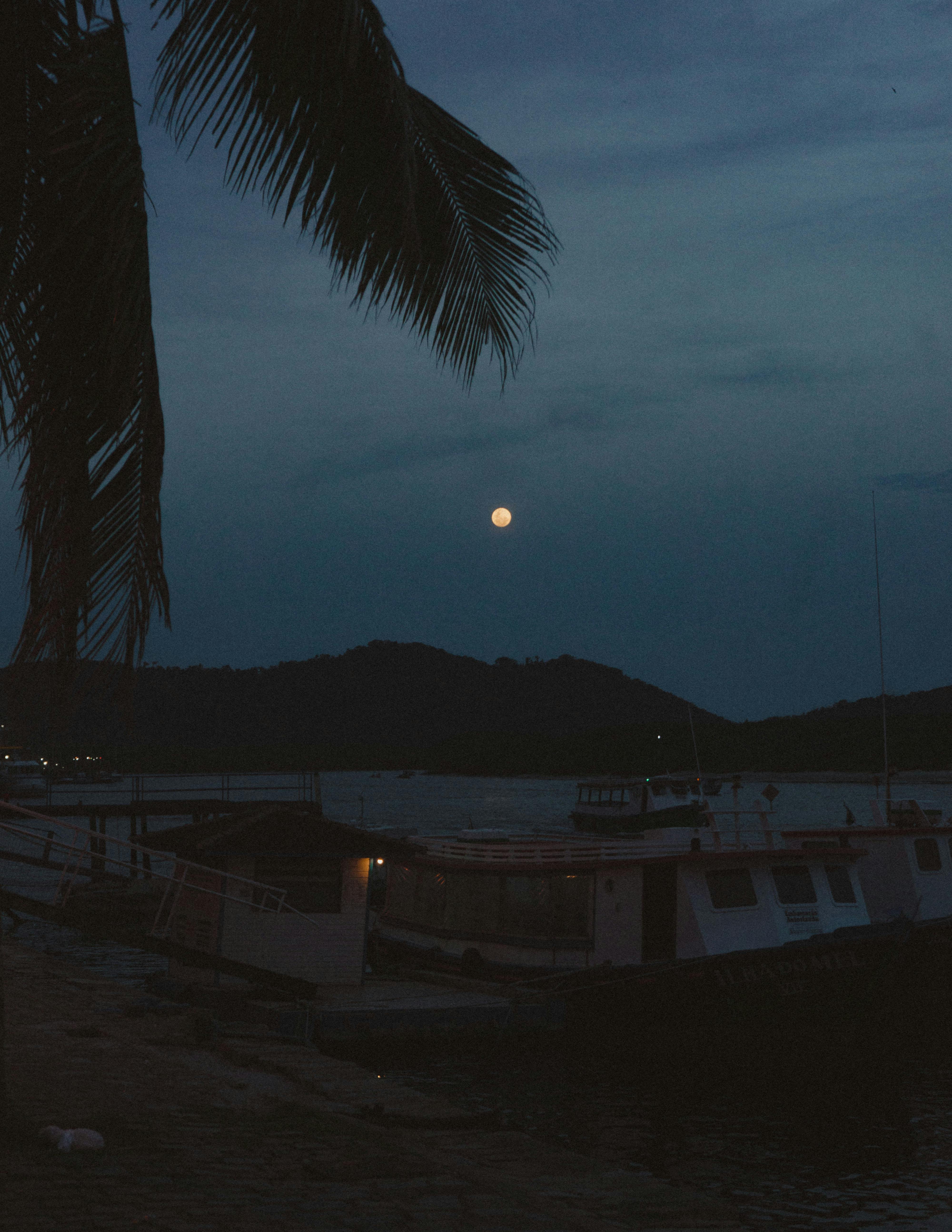 Serene evening scene featuring a full moon over boats docked by a seashore with silhouetted trees.