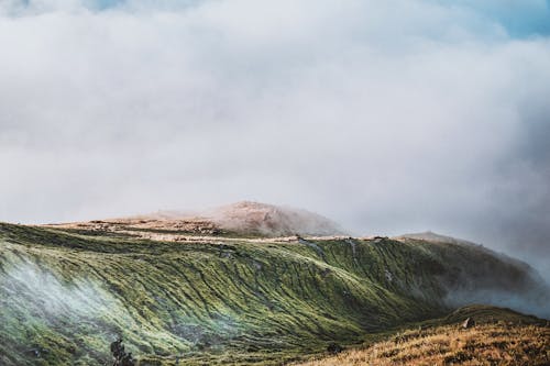無料 霧に覆われた緑の丘 写真素材