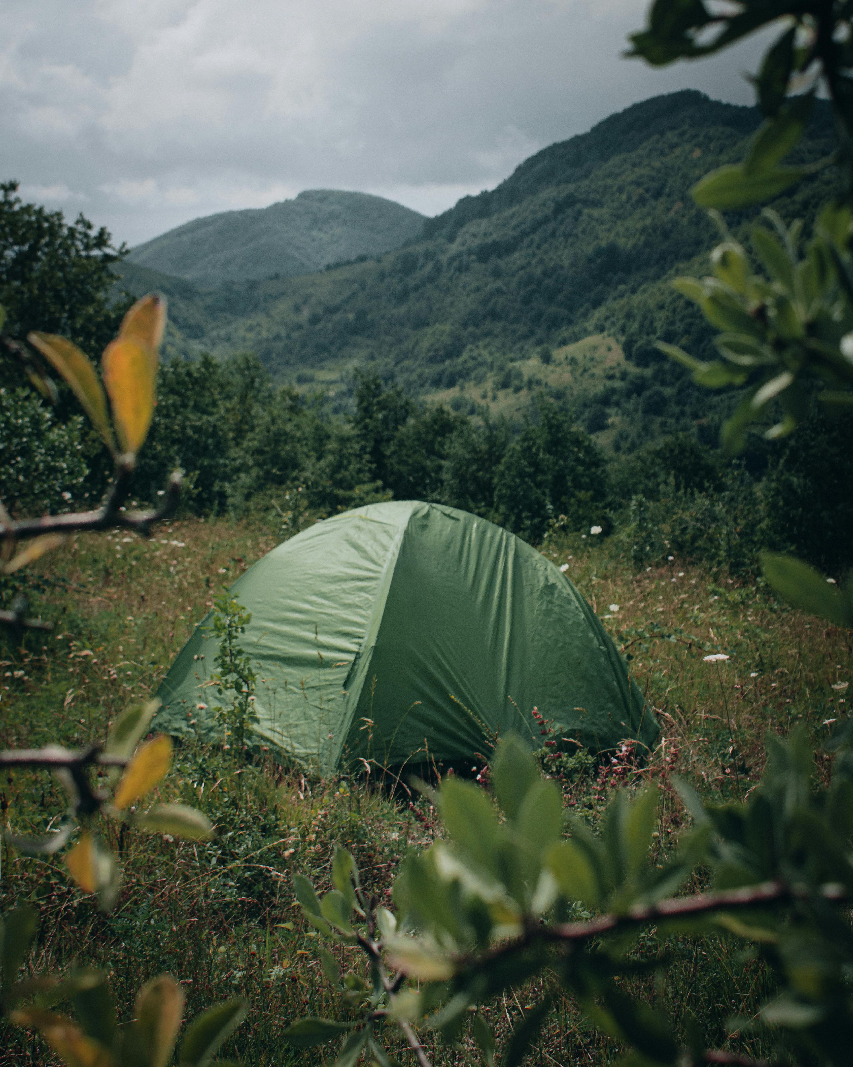 Camping setup in mountain meadow