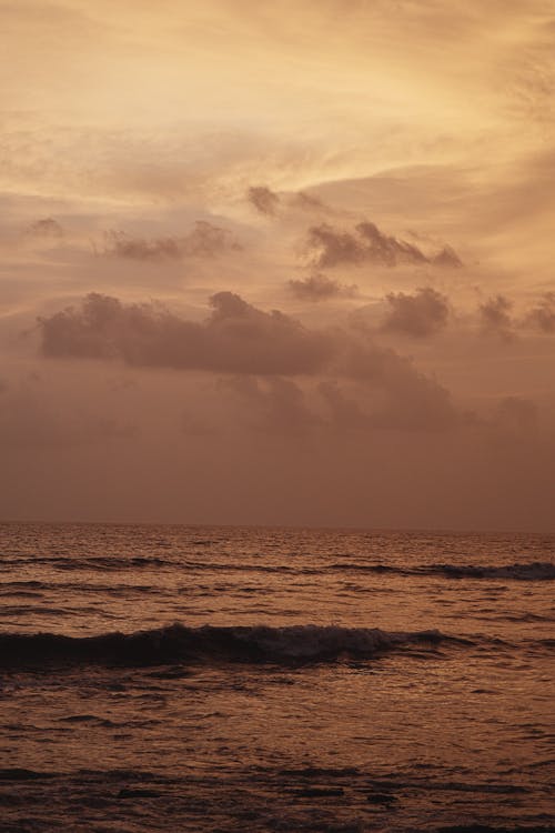 คลังภาพถ่ายฟรี ของ กลางแจ้ง, คลื่น, ชายหาด