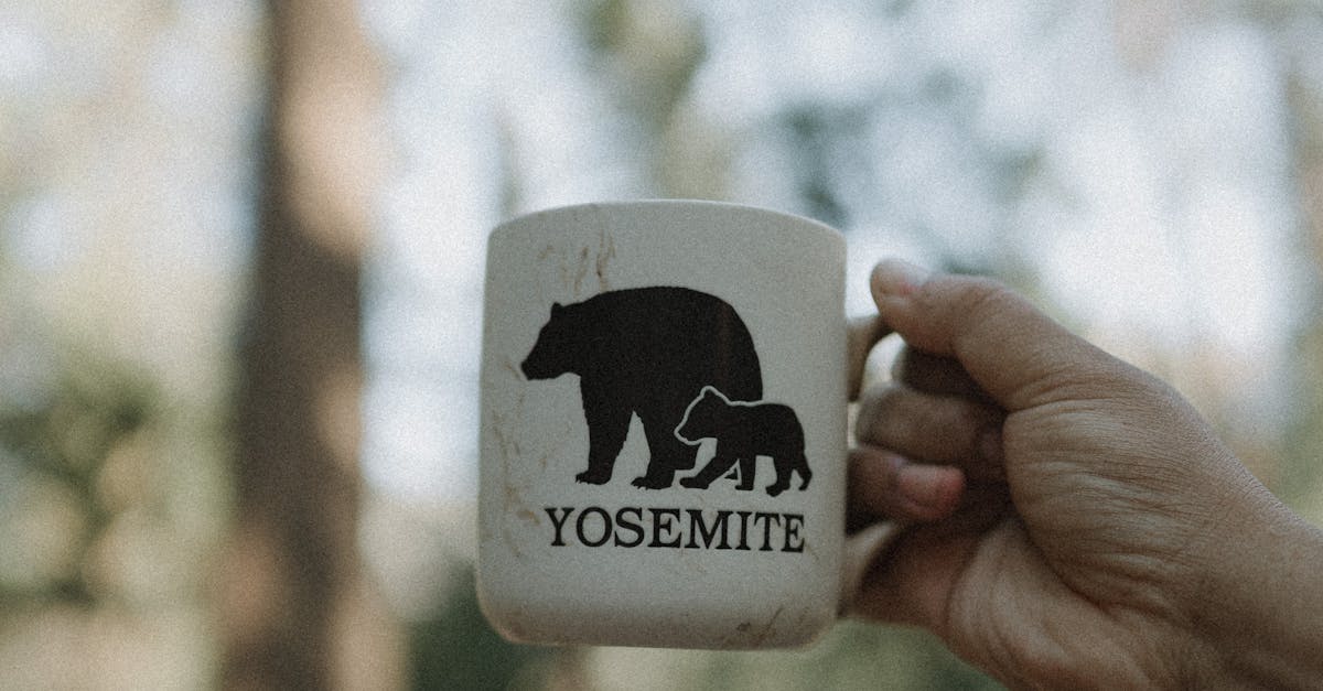 2025台北國際秋季旅展 參山處邀您和喔熊組長一起嗨玩中台灣