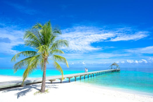 Tahiti, French Polynesia photo 11