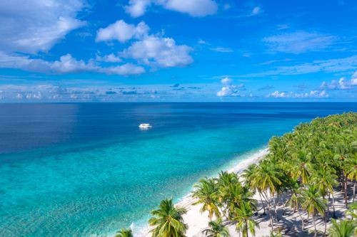 Free Stunning aerial view of a tropical beach with turquoise waters and palm trees in Maldives. Stock Photo