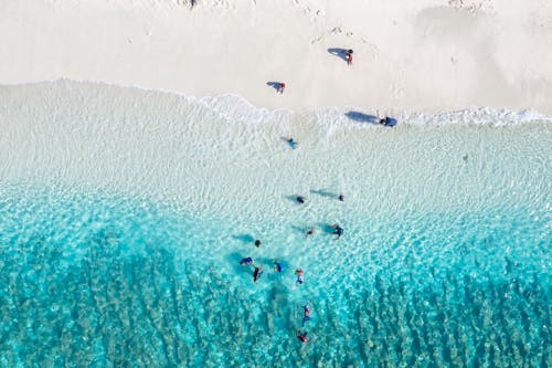 Drone Shot of People at the Beach