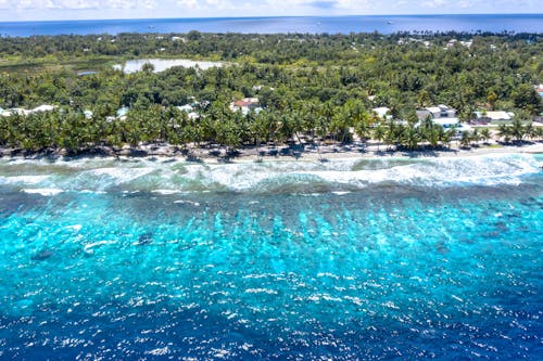 Gratis stockfoto met blauwe lucht, dronefoto, kokospalmen