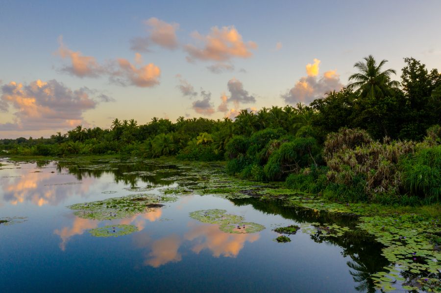Bangaram Lagoon photo 3