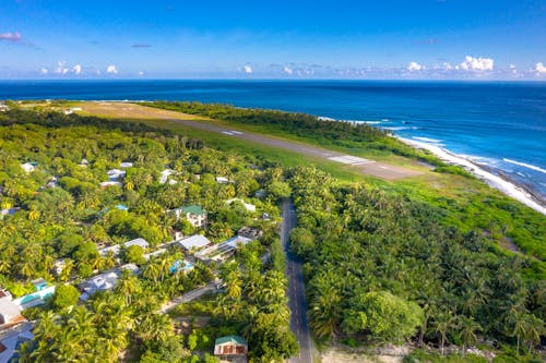 Big Island with Green Trees Near Body of Water