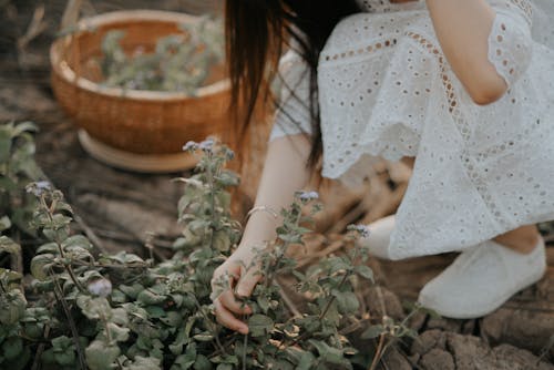 Free Person Wearing White Dress Holding Green Leaf Stock Photo