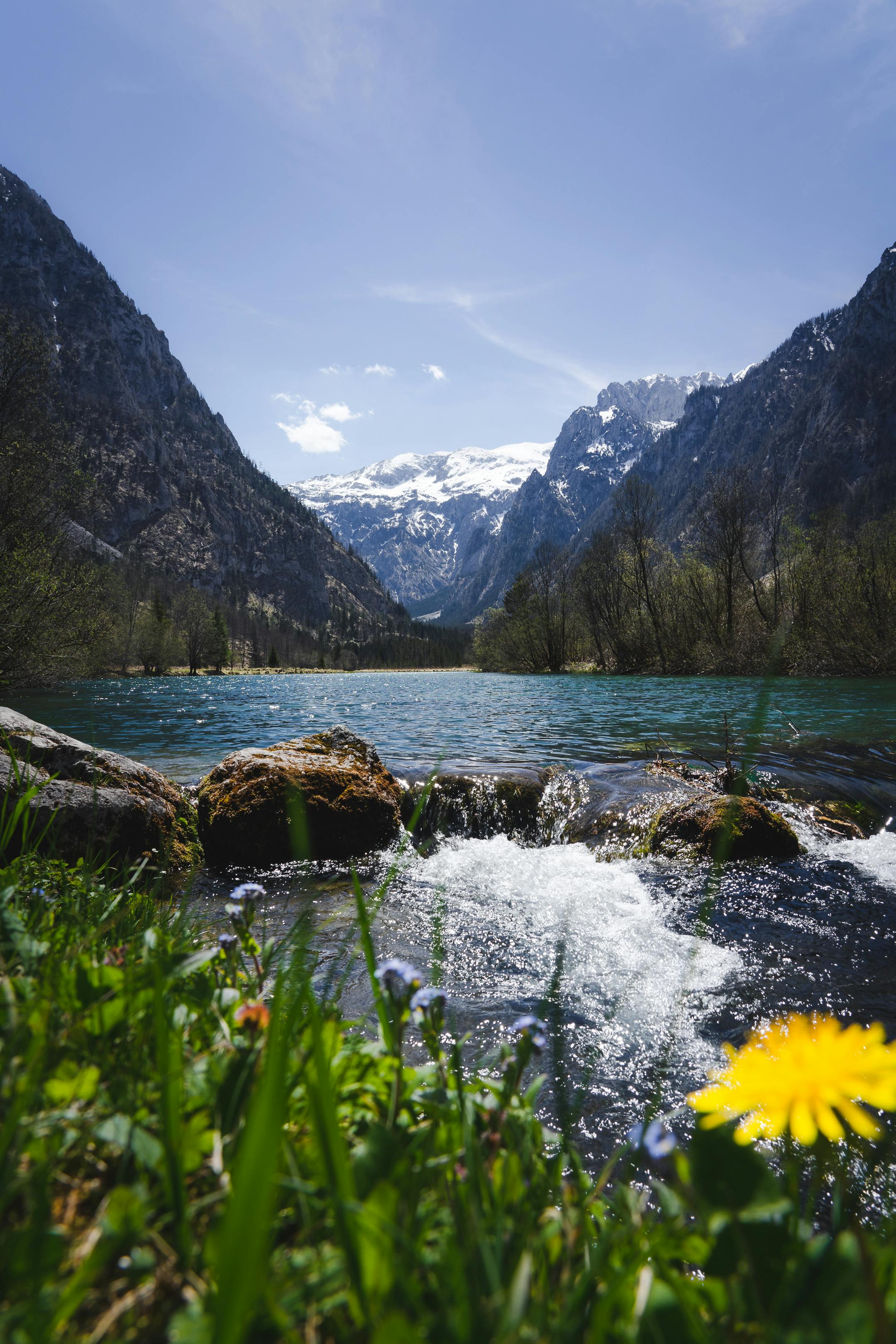 Miễn phí Ảnh lưu trữ miễn phí về bầu trời quang đãng, bình dị, cây xanh Ảnh lưu trữ