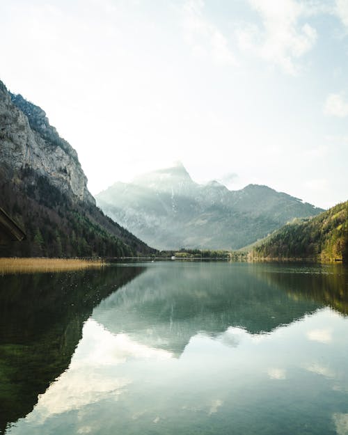 Základová fotografie zdarma na téma hory, jezero, les