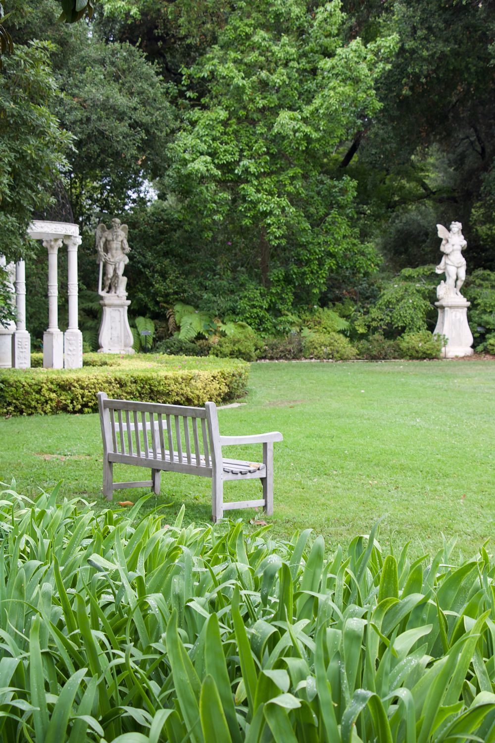 Freshly cleared green lawn with a bench