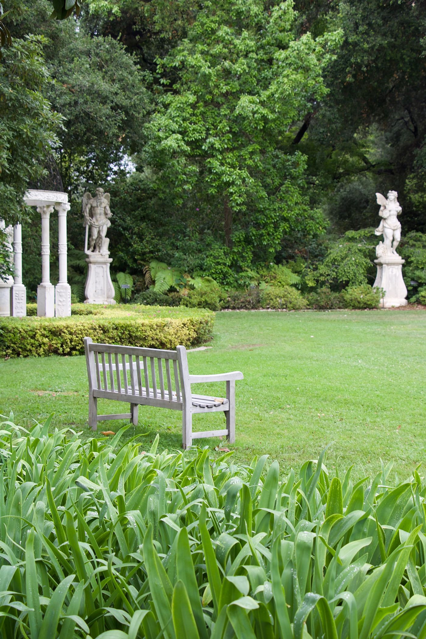 Wooden bench on a rolling green hill