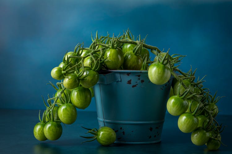 Fruit Over Bucket