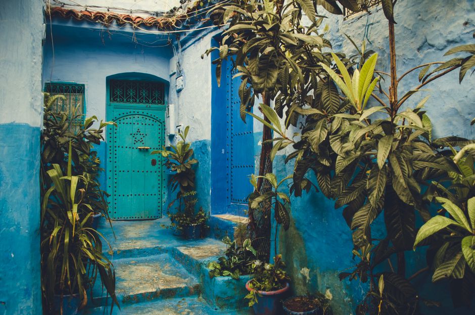 Vibrantly painted blue Moroccan doorway surrounded by lush plants.