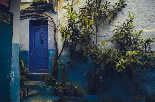 Blue alleys at dawn with a photographer — Chefchaouen