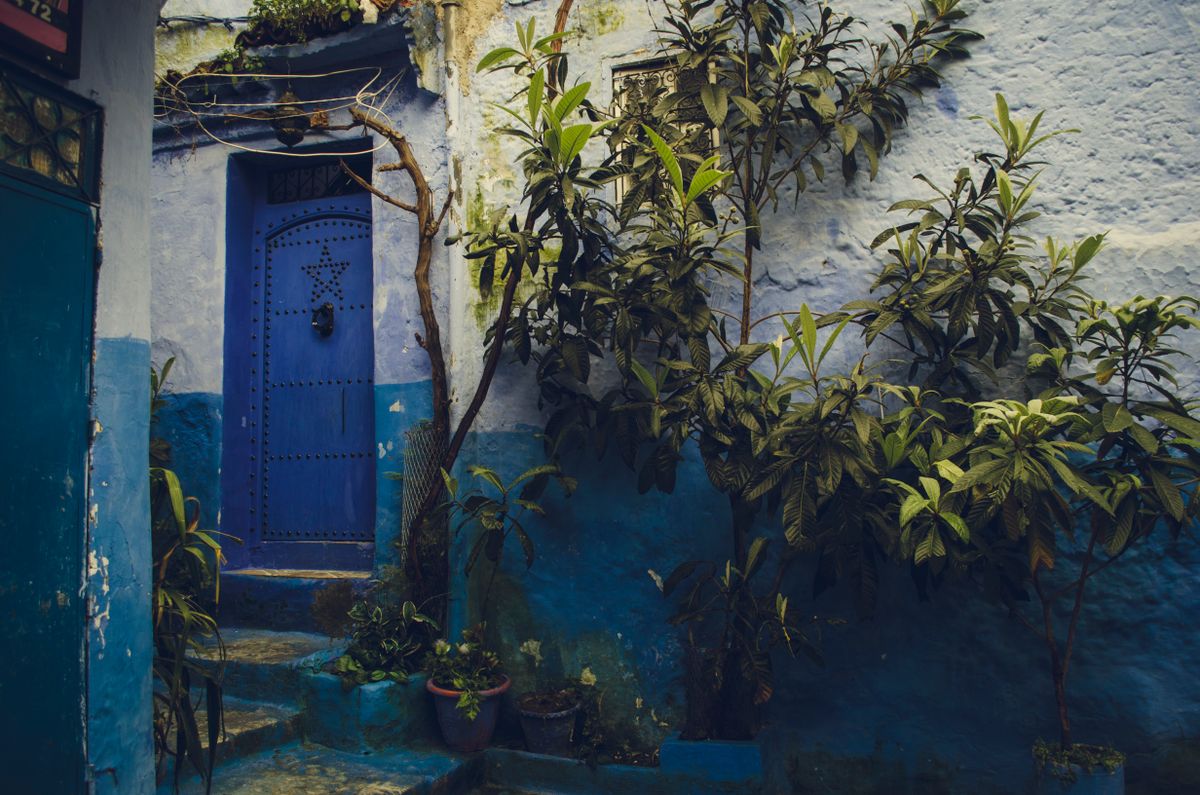 A blue doorway with an ornate metal grille, geraniums crowding the step, in a lane with nothing to sell and no one arguing a case.
