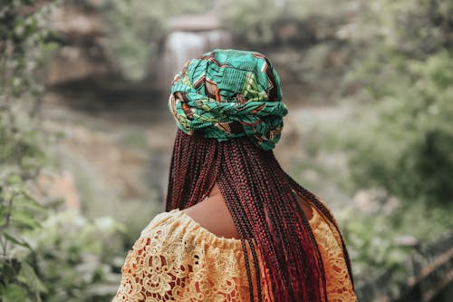 A Back View of a Person with Braided Hair