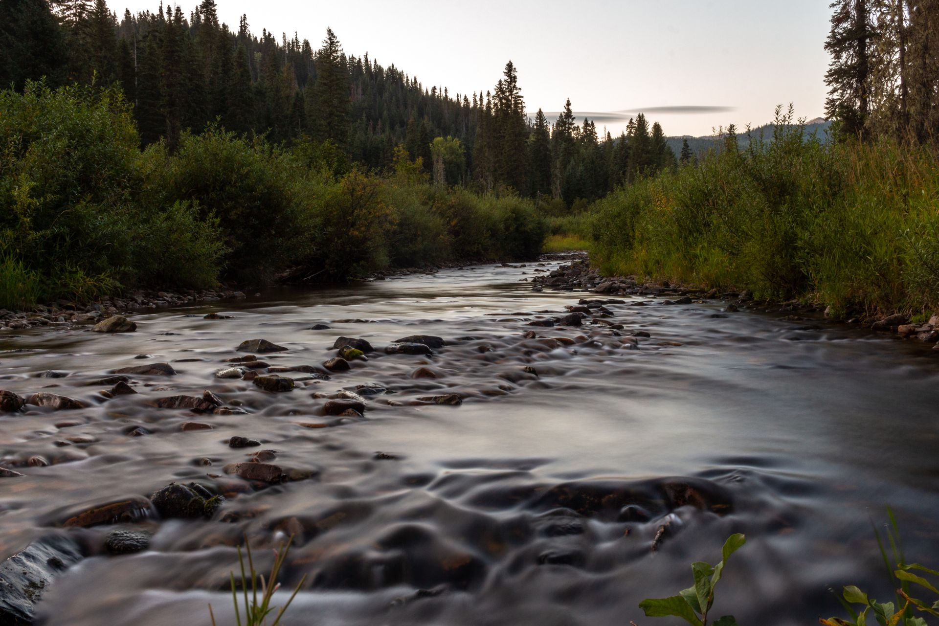 A peaceful river flows through a forest landscape in Idaho at sunset, showcasing nature's serene beauty.
