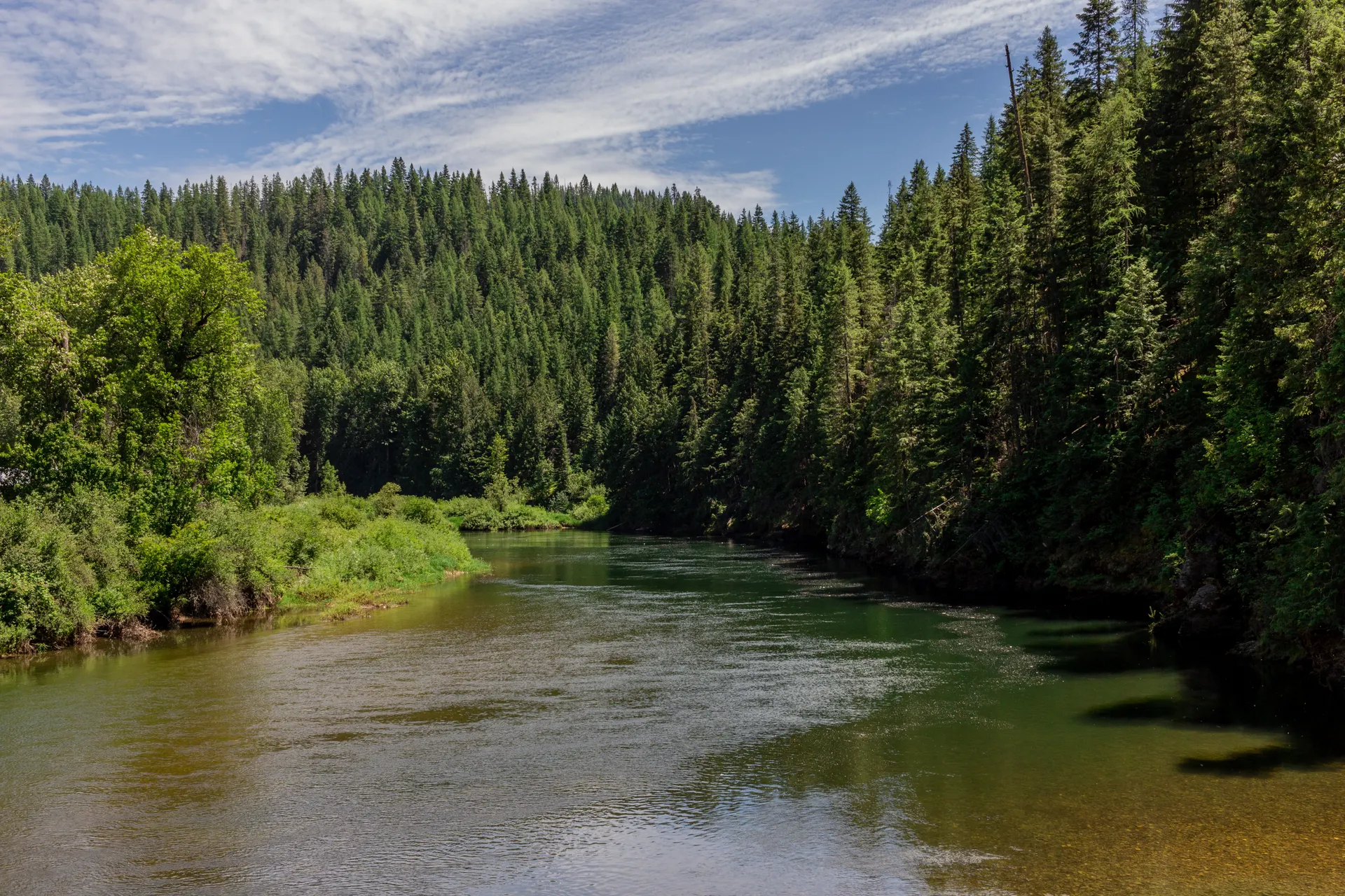 The Henrys Fork river running through pine forest near Island Park, Idaho The Henrys Fork river running through pine forest near Island Park, Idaho