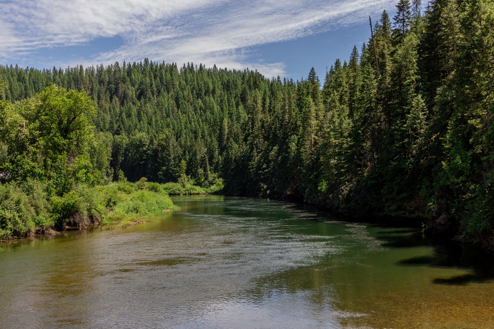 A tranquil river winding through Idaho forest