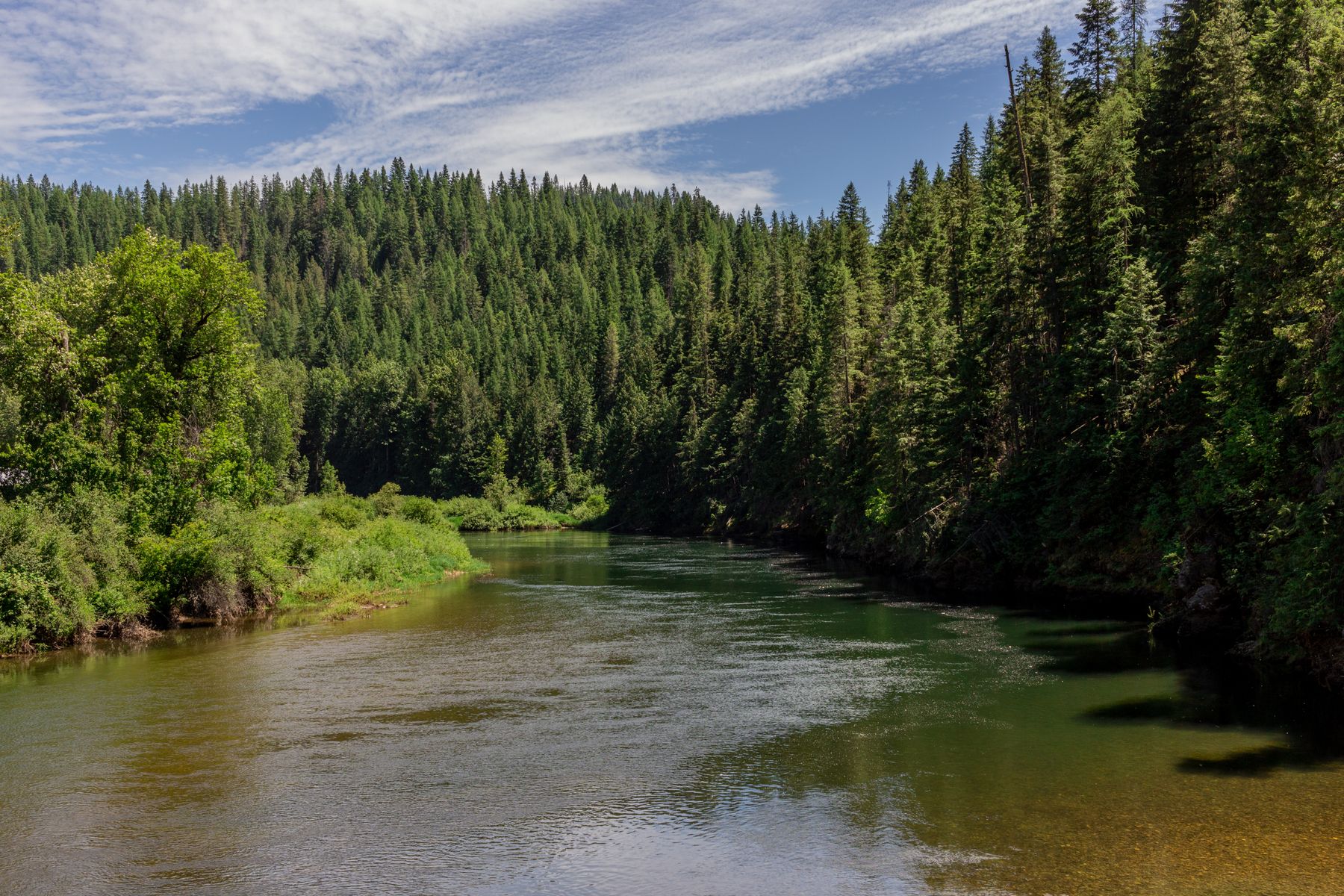 A tranquil river winding through Idaho forest