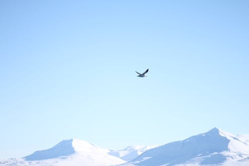 Foto stok gratis gunung, Islandia, langit