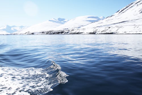 무료 빙하 산이있는 잔잔한 수역 사진 스톡 사진
