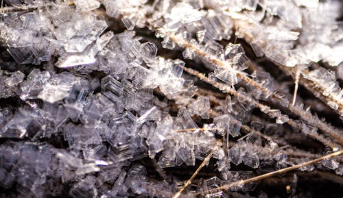 Kostenlos Kostenloses Stock Foto zu frost, gefroren, kristall Stock-Foto