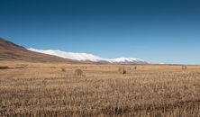Brown Grass Field Near Mountain Under Blue Sky