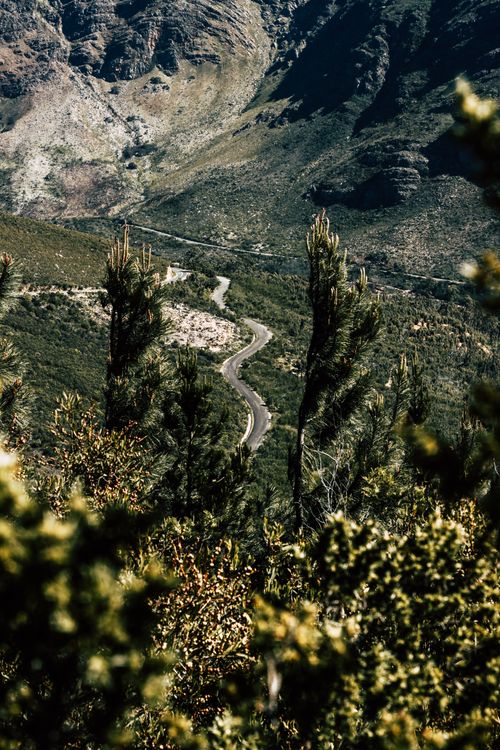 Free A scenic winding road through lush green forests in a mountainous landscape. Stock Photo