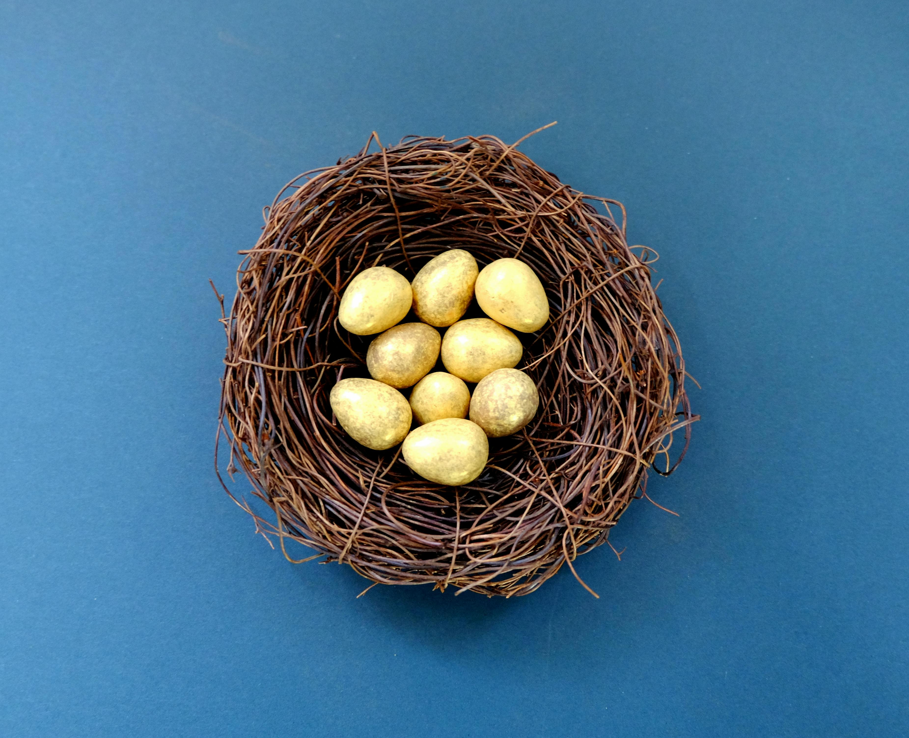 white eggs in brown nest