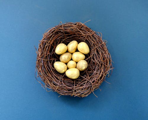 бесплатная Белые яйца в коричневом гнезде Стоковое фото