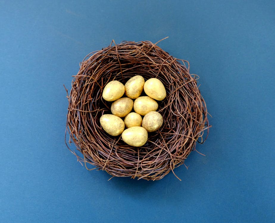 갈색 둥지에 흰 계란