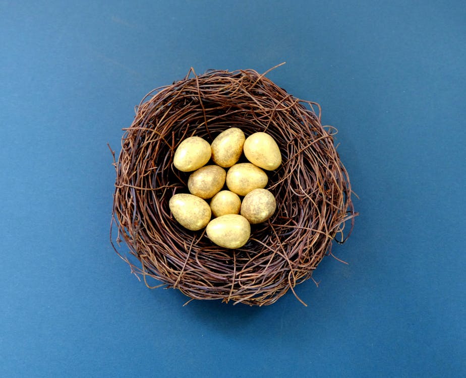 White Eggs in Brown Nest