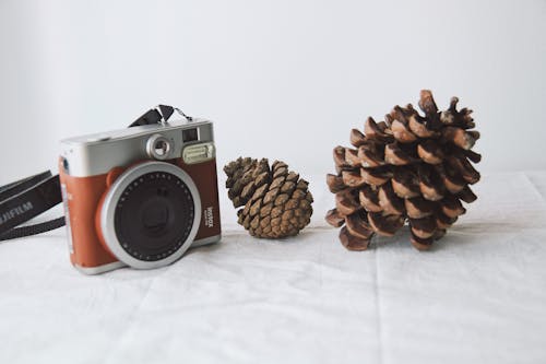 Brown Pine Cones Beside Brown and Silver Instax Camera