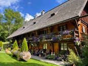 A Wooden House with Plants Under the Blue Sky