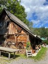 A Wooden House Near the Green Trees Under the Blue Sky