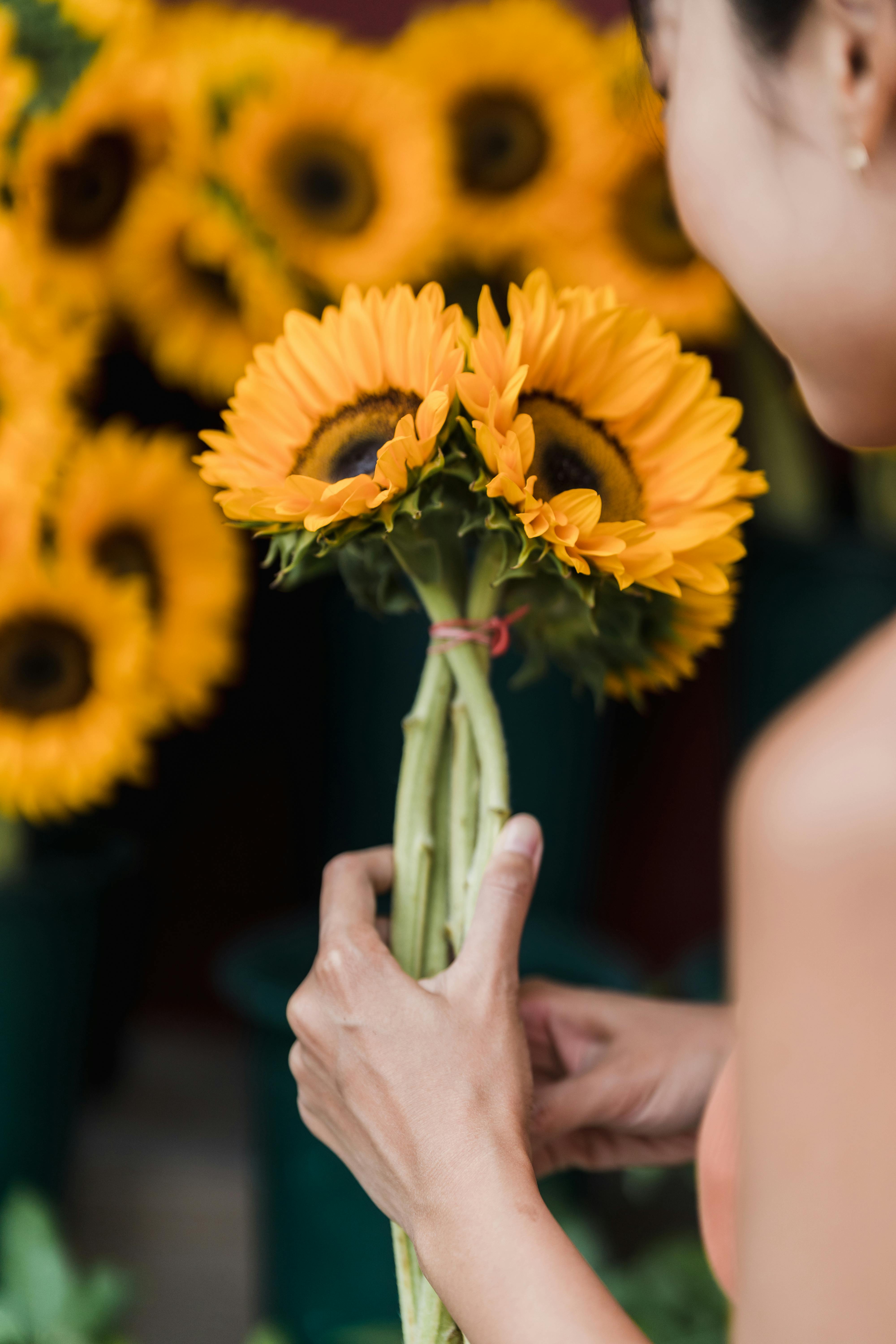 A woman holding a bouquet of vibrant sunflowers in an outdoor setting.