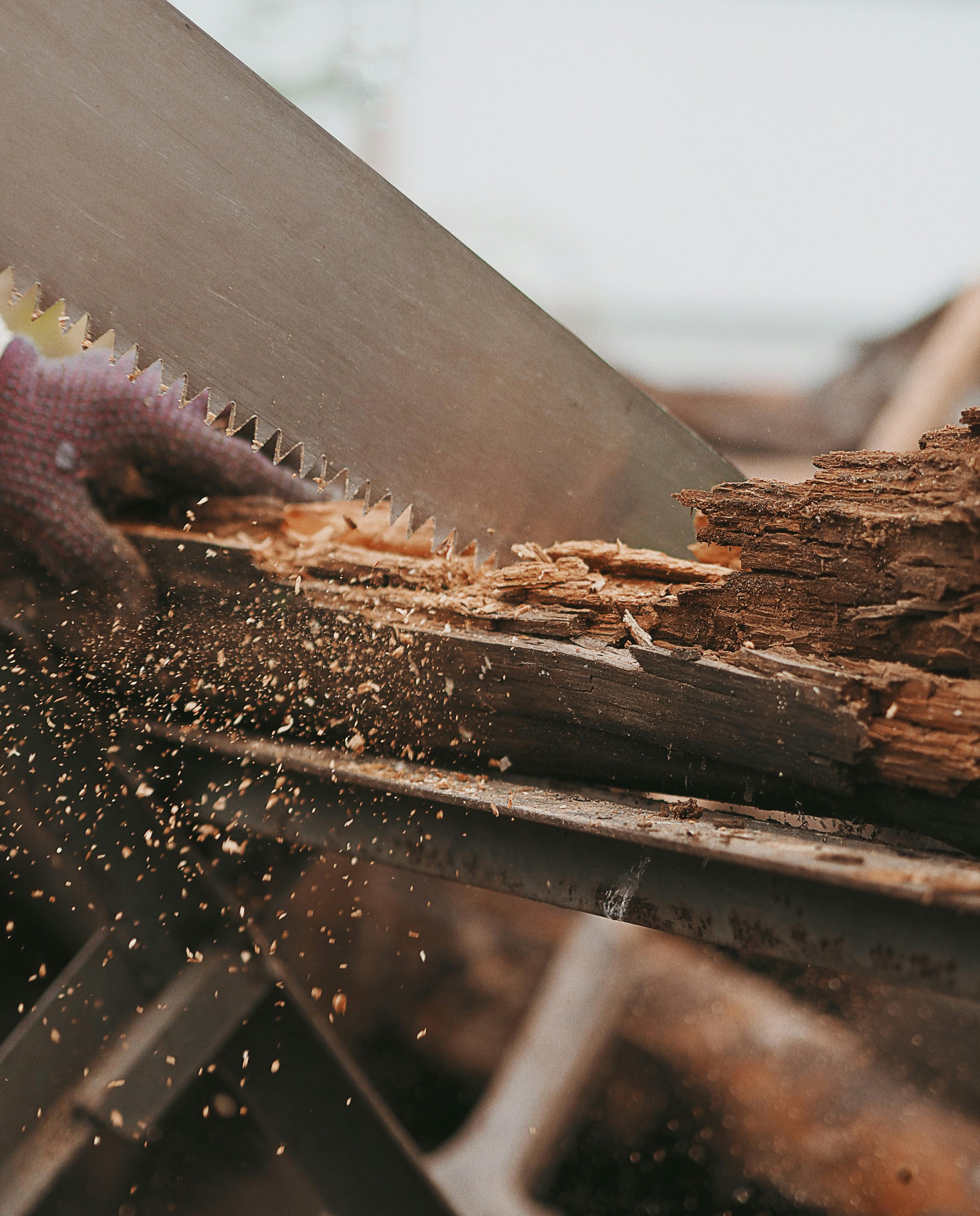Closeup a Saw Cutting Wood · Free Stock Photo