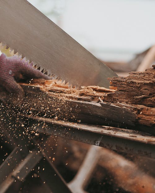 Close-up a Saw Cutting Wood