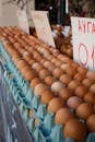 Brown Eggs on Blue Plastic Tray