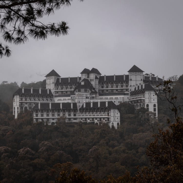 Hotel In The Middle Of A Forest