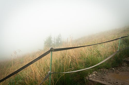 Free stock photo of fog, greenery, mountain trail Stock Photo