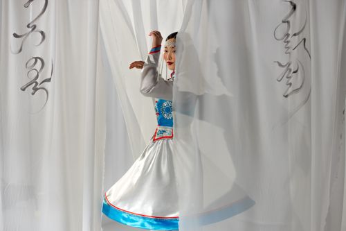 Free A woman in traditional Mongolian attire dances gracefully behind sheer white curtains. Stock Photo