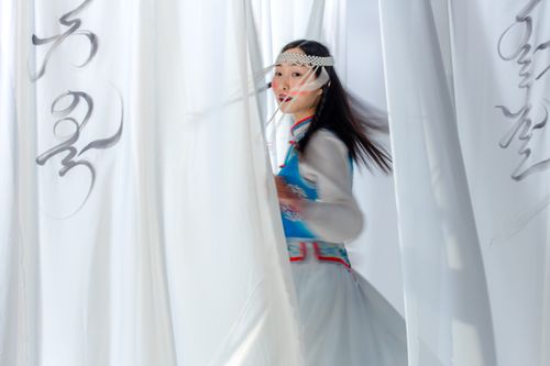 Free Asian woman in traditional Mongolian attire dances gracefully through flowing fabric. Stock Photo
