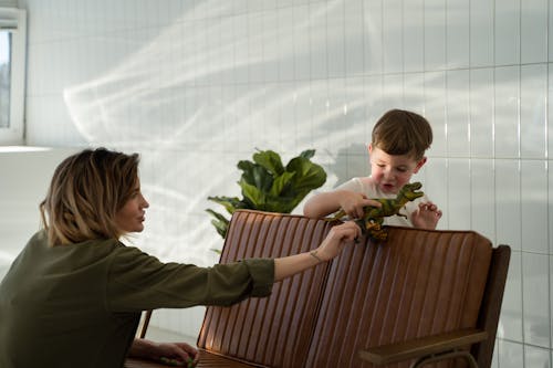 Gratis stockfoto met binden, familie, jongen