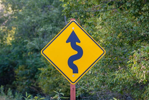 A Curvy Road Warning Sign