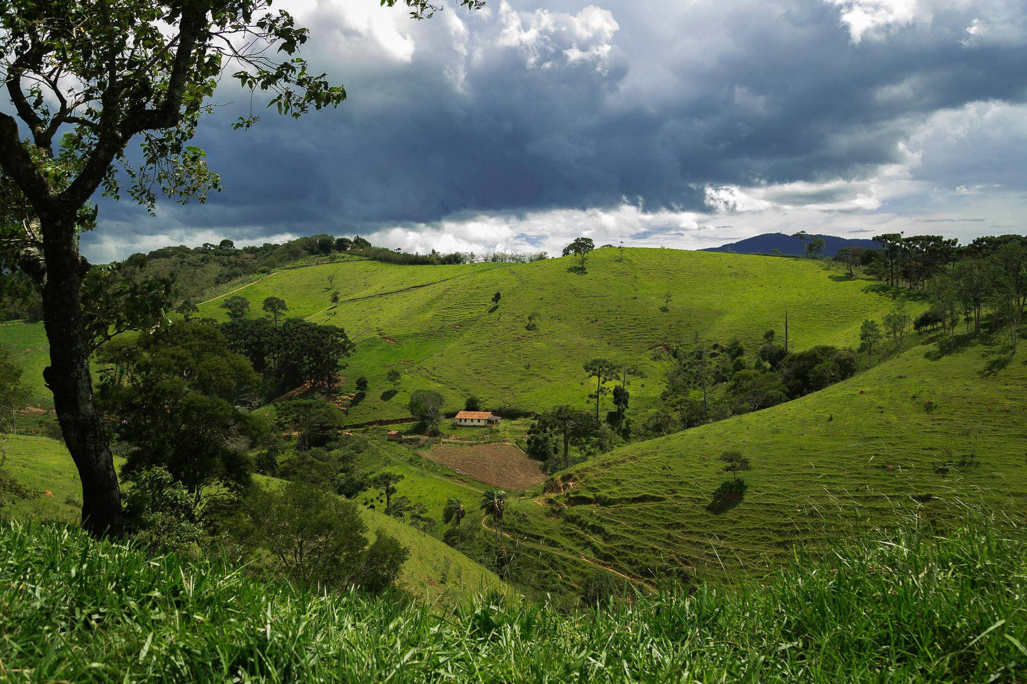 free-stock-photo-of-the-rain-is-approaching